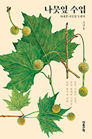 나뭇잎 수업